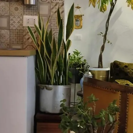 Piccolo Loft In Centro Storico Daire Palermo
