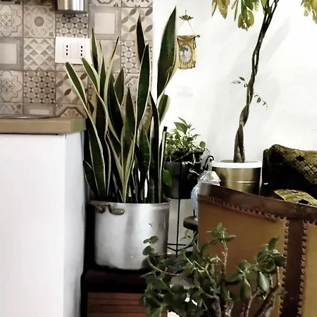 Διαμέρισμα Piccolo Loft In Centro Storico Παλέρμο